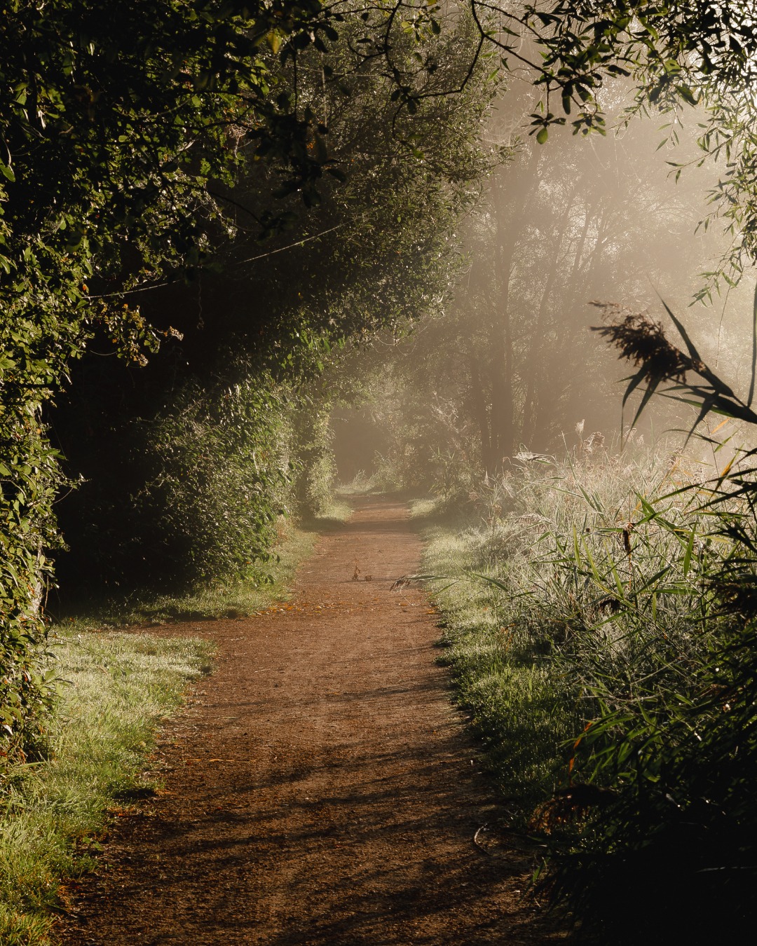 Goeiemorgen vanuit de Vijvers Markey 🌿
Zin om even te wandelen? Hier zit je altijd goed.