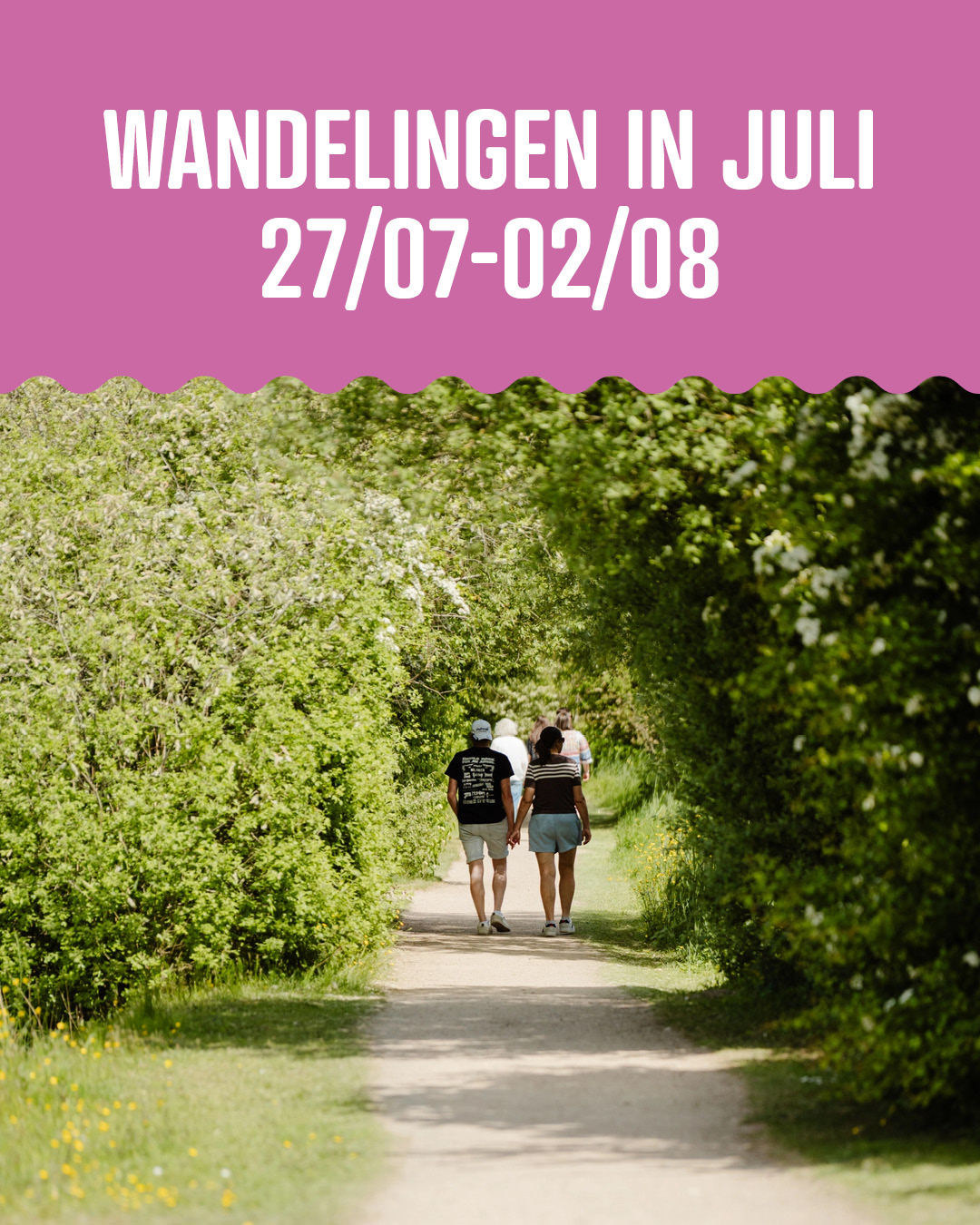 De laatste week van Juli afsluiten met een gratis wandeling met gids? Da’s een goed idee 😉 Meer info via de wandelkalender in bio.