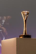 Op de afbeelding staat een trofee oftewel een sportjuweel